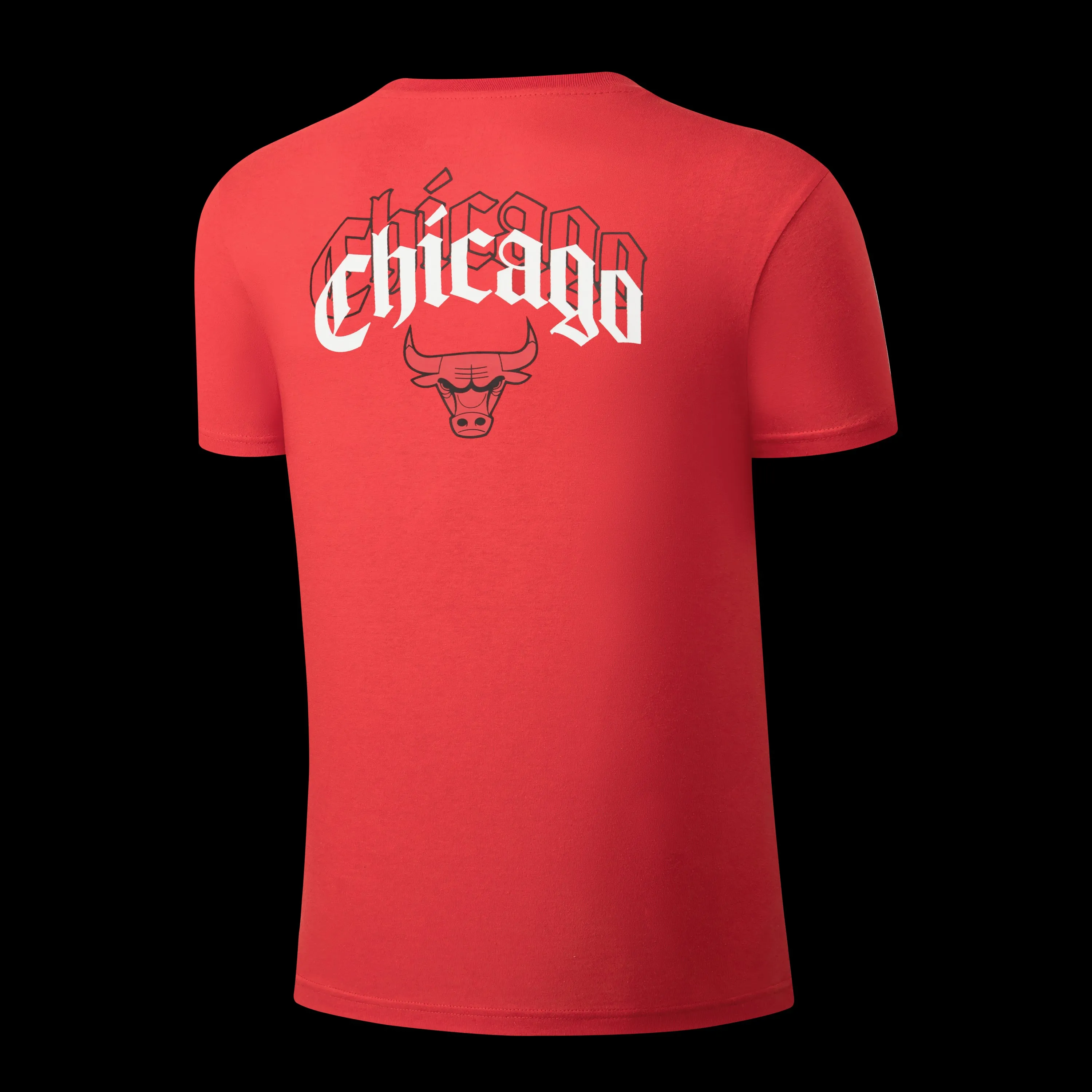 NBA Back Arch Print Long Fit T-Shirt - Chicago Bulls