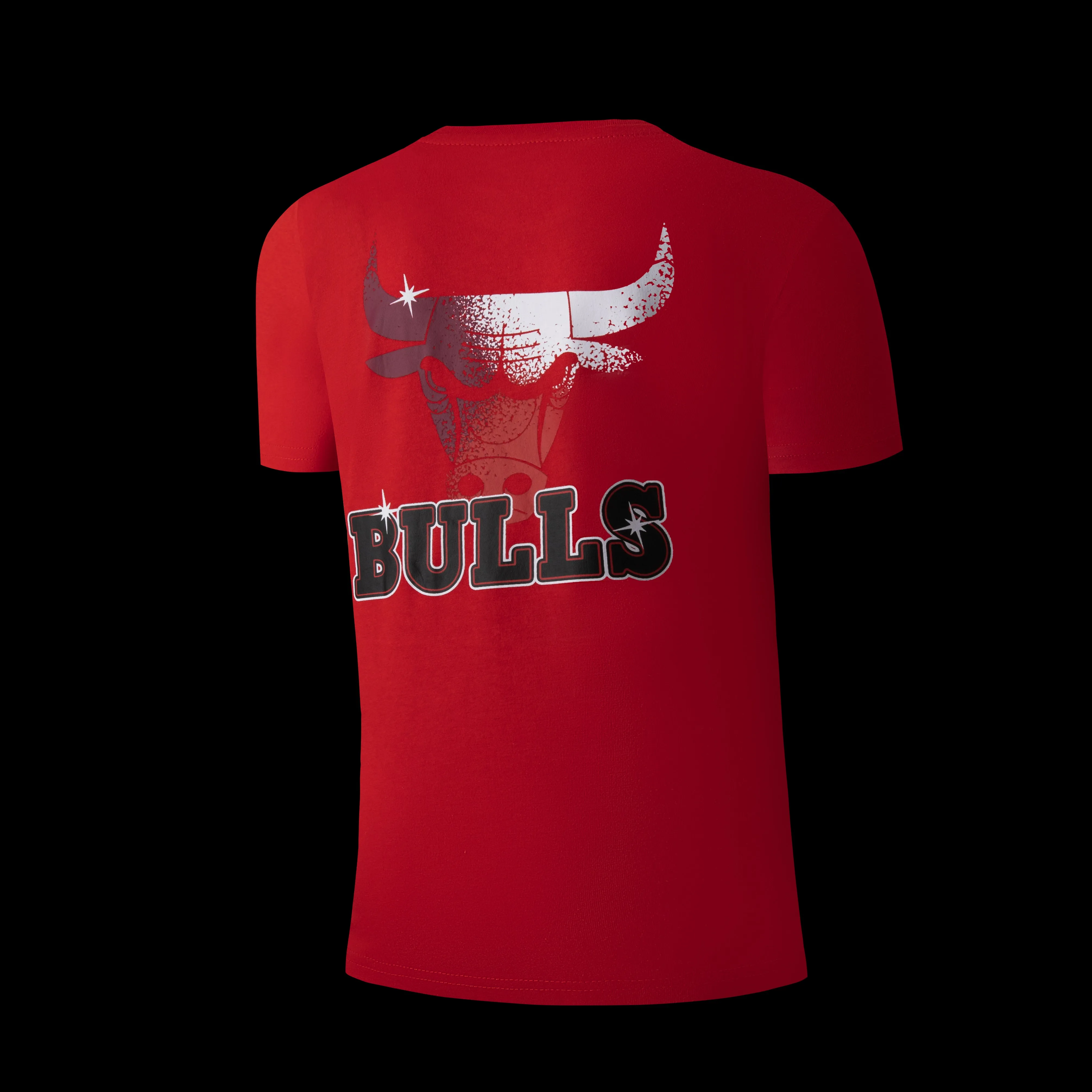 NBA Back Gradient Print Regular Fit T-Shirt - Chicago Bulls