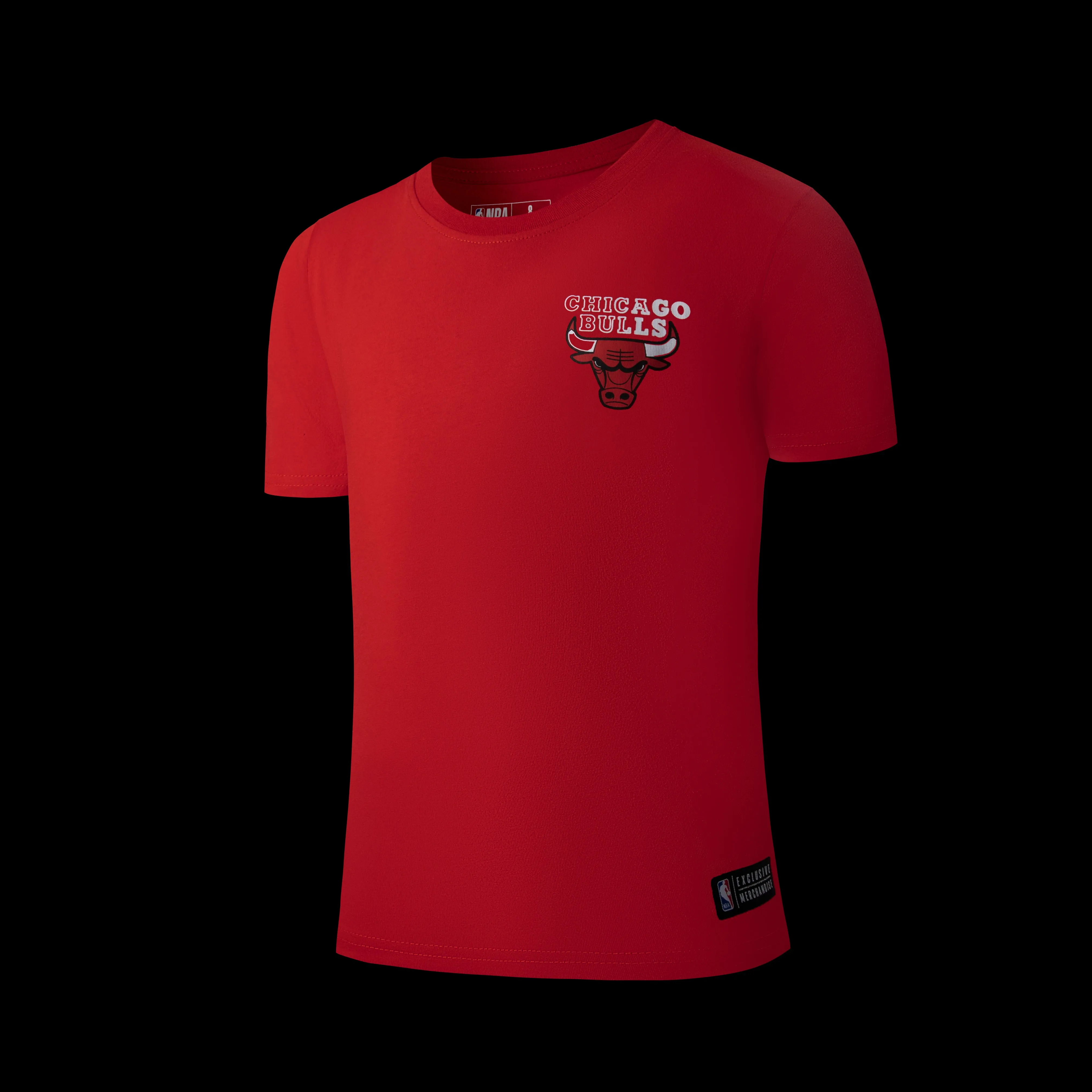 NBA Back Gradient Print Regular Fit T-Shirt - Chicago Bulls