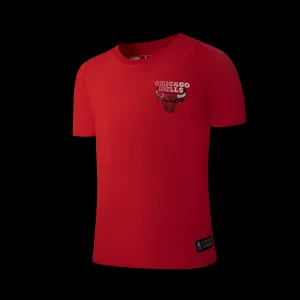 NBA Back Gradient Print Regular Fit T-Shirt - Chicago Bulls