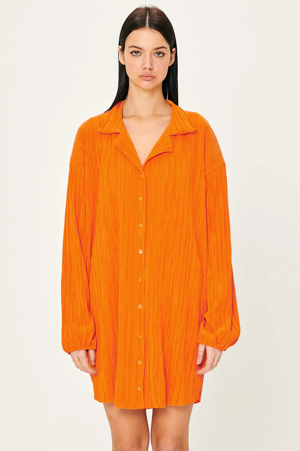 Sandra Plisse Shirt Dress