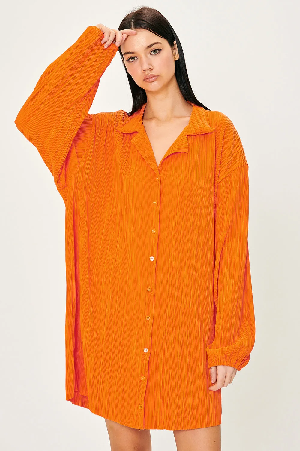 Sandra Plisse Shirt Dress