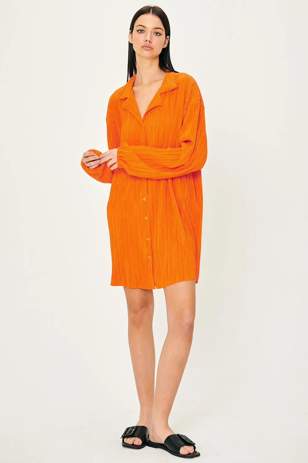 Sandra Plisse Shirt Dress