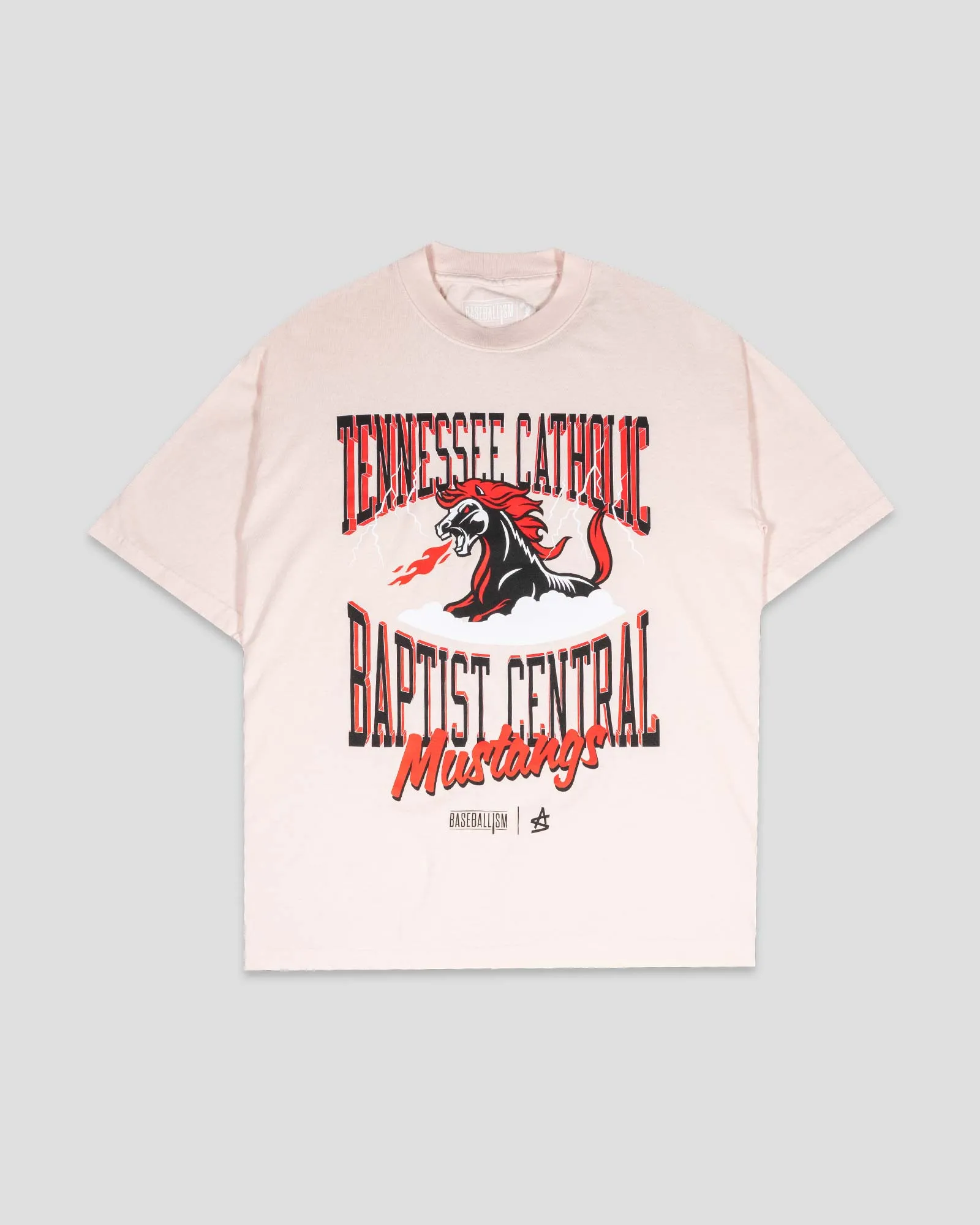 Tennessee Catholic Baptist Central Oversized T-Shirt (Pink) - Baseballism x Austin Schultz